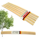 Coemo Federholzleisten Flexible Federleisten Holz Ersatzleisten für Lattenrost im Set 5 STK + 1 Extraleiste