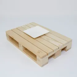 emissimo Fingerfoodartikel Zuckerrohr Quadrat kompostierbar Mikrowellen-geeignet  1000 Stück