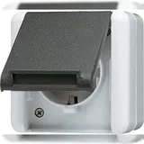 Jung Schuko-Steckdose grau 1 St.