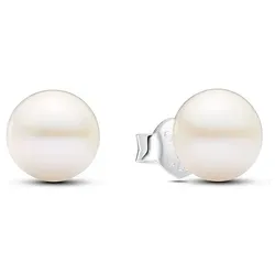 Pandora Ohrstecker Pandora Timeless 293169C01 - silber