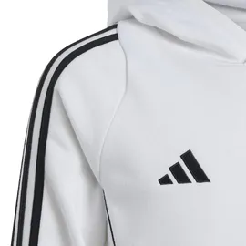 adidas Sweatshirt Mehrfarbig 164