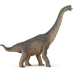 PAPO 55030 Brachiosaurus