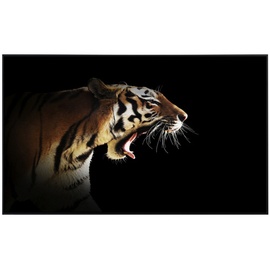 Papermoon Infrarotheizung Brüllender Tiger«, Matt-Effekt - bunt