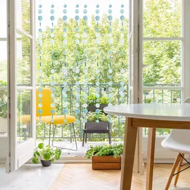 Relaxdays Capiz Girlande 4er Set, Türkis