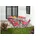 Möbel Kraft Gartenstuhl 6er Set Rot