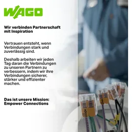 WAGO 221-412 | 2 Leiter, bis 4mm2, 100 Stück,