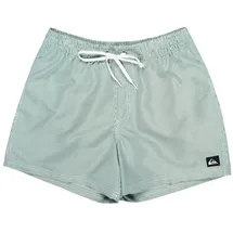 QUIKSILVER Everyday Deluxe Badeshorts Grün XXL