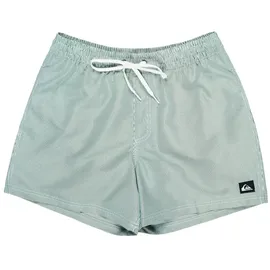 QUIKSILVER Everyday Deluxe Badeshorts Grün XXL