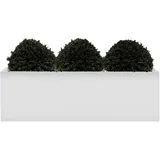 LED Blumentopf | 1200x400mm | RGB | Akku | LED Blumenkübel, Beleuchtete Pflanzkübel, LED Pflanzkübel