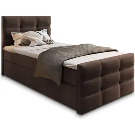 masseno AMON 100 x 200 cm Braun