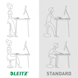 Leitz Ergo Cosy Aktiv blau/grau