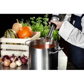 Royal Catering RCSM-350-250 Stabmixer