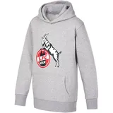 1. FC Köln Hoodie Basic Hoodie Grau 140