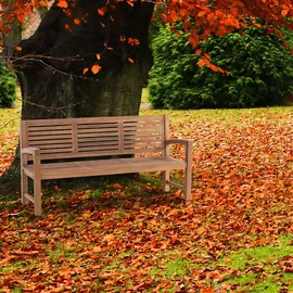 CLP Halden 180 x 92 x 59 cm Braun