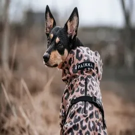 Paikka Visibility Lite leo 20 cm