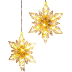 Haushalt International 2er Set LED Weihnachtssterne Weihnachtsdekoration Christmas Stars