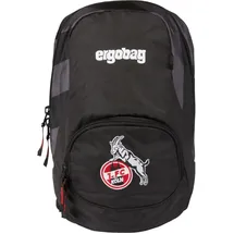 ergobag Rucksack Ease Backpack S Domstürmbär