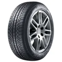 Sunny Wintermax NW611 215/65 R15 96H
