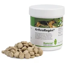 SaluVet ArthroRegen 160 Tabl.