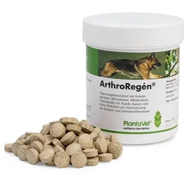 SaluVet ArthroRegen 160 Tabl.