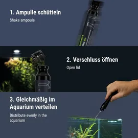 Dennerle Aquarium-Wasseraufbereiter Bacto Elixier Bio 50 ml