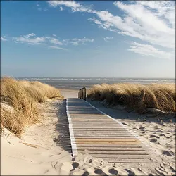 Ambiente 20 Servietten Papier 33x33cm 3-lagig - hochwertige Einweg Papierservietten Strandmotiv Dünen Meer Partyservietten maritim Sommerdeko Tischdeko Urlaub