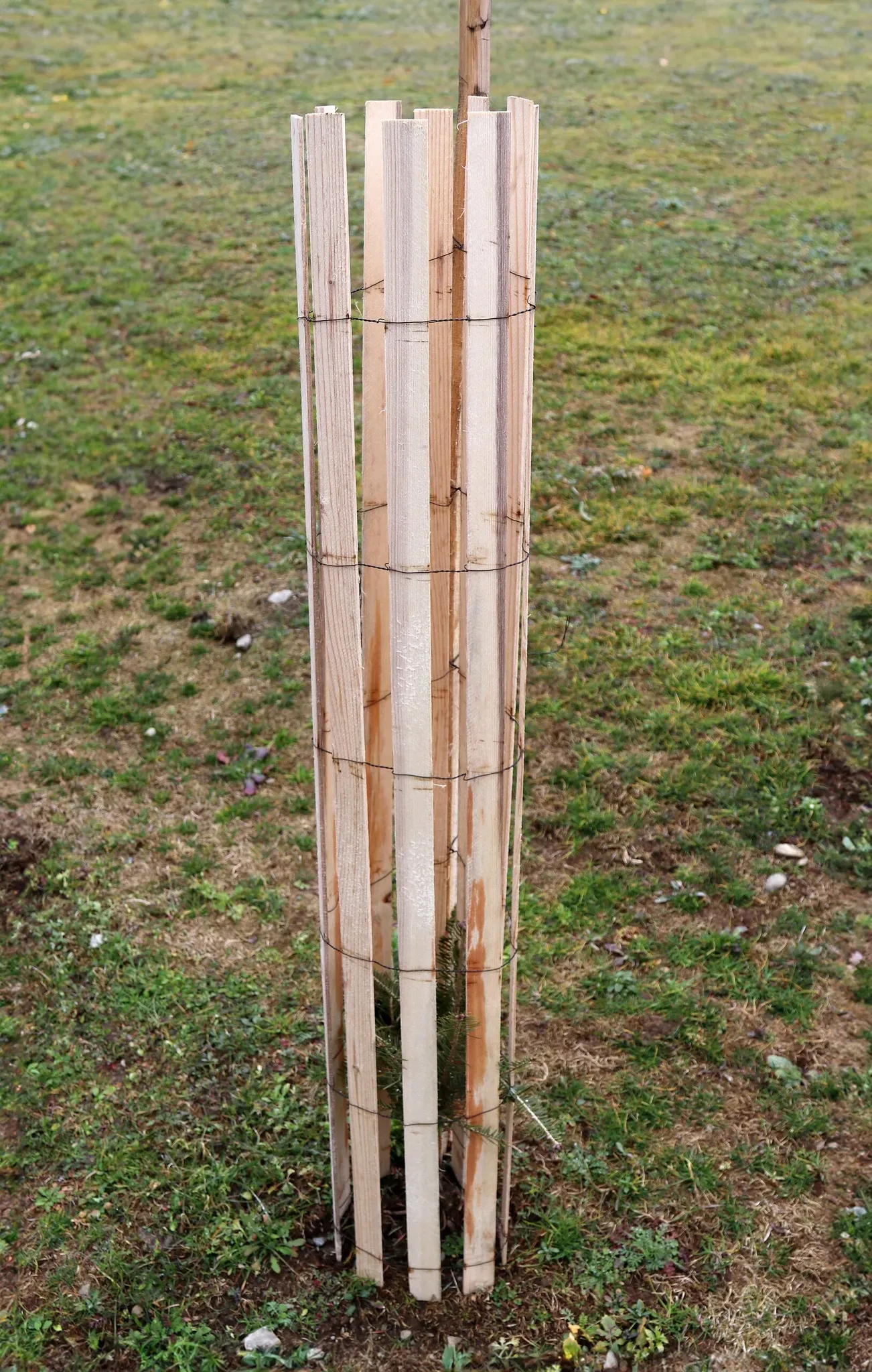Witasek Bio-Wuchshülle Witapro Freiwuchs 300 Tube