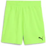Puma Teamgoal Green/Black 152