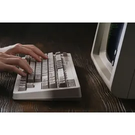 8bitdo Retro Mechanical Keyboard Kailh Box Switches QWERTY
