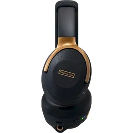 Positive Grid Spark NEO