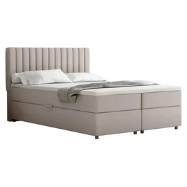 panda möbel Boxspringbett 140 x 200 cm Dunkelbeige