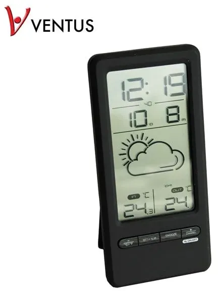 Weather station W382