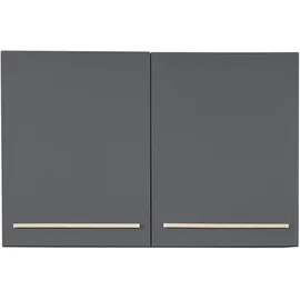 BASIC by Balculina Hängeschrank Bilberry 100 x 65 x 33 cm Grau