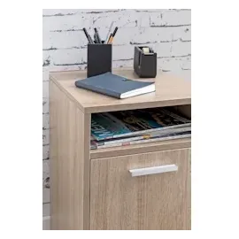 FineBuy Rollcontainer 33x60x38 braun