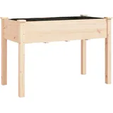 vidaXL Pflanzkübel mit Einsatz 118 x 59 x 76 cm Holz