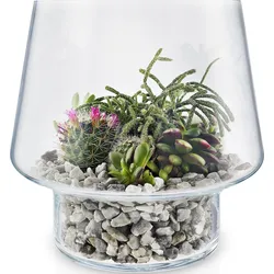 Eva Solo Blumentopf für Sukkulenten 21 cm aus Glas