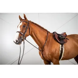 Dyon Hunter Collection festes Martingal