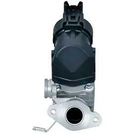 Hella 6NU 014 864-981 AGR-Ventil elektrisch, mit Dichtungen