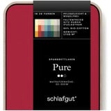 schlafgut Pure Baumwolle 180 x 200 - 200 x 220 cm red deep