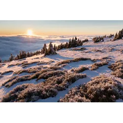 Fototapete PAPERMOON "Schneelandschaft", bunt, B:3,50m L:2,60m, Vlies, Tapeten