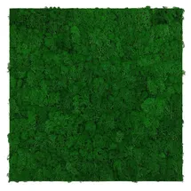 JANGAL Wandpaneel Jangal Modular Wall Nature Green 2 St. 52 x 52 cm