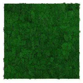 JANGAL Wandpaneel Jangal Modular Wall Nature Green 2 St. 52 x 52 cm