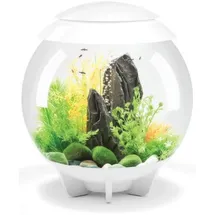biOrb HALO 30 l Aquarium MCR weiß