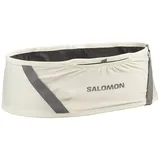 Salomon Pulse Hydratationsgürteltasche - Icicle / Castelrock - L