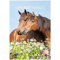 ALPHA EDITION Bildkalender 103477, Pferde, 1 Monat / 1 Seite, 23,7x34cm, 2025 4069095004894 ALPHA EDITION
