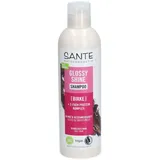 Sante Glossy Shine Shampoo 250ml