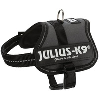 JULIUS K-9 K9 Powergeschirr, Größe: 2XS/Baby 2, Anthrazit