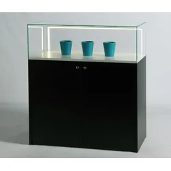 Glasvitrine mit Unterschrank Dialog 12R