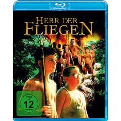 Herr Der Fliegen (Blu-ray)