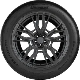 GRIPMAX SureGrip eWinter 225/55 R17 101V XL
